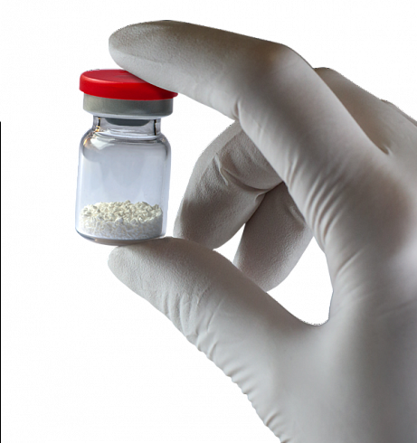 OsteoBiol® Apatos Cortical