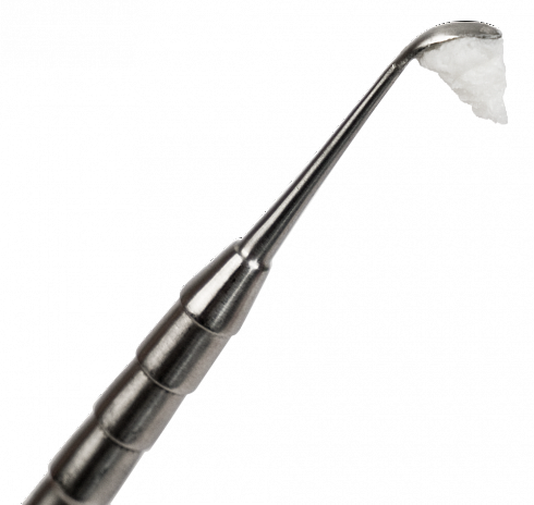 OsteoBiol® GTO